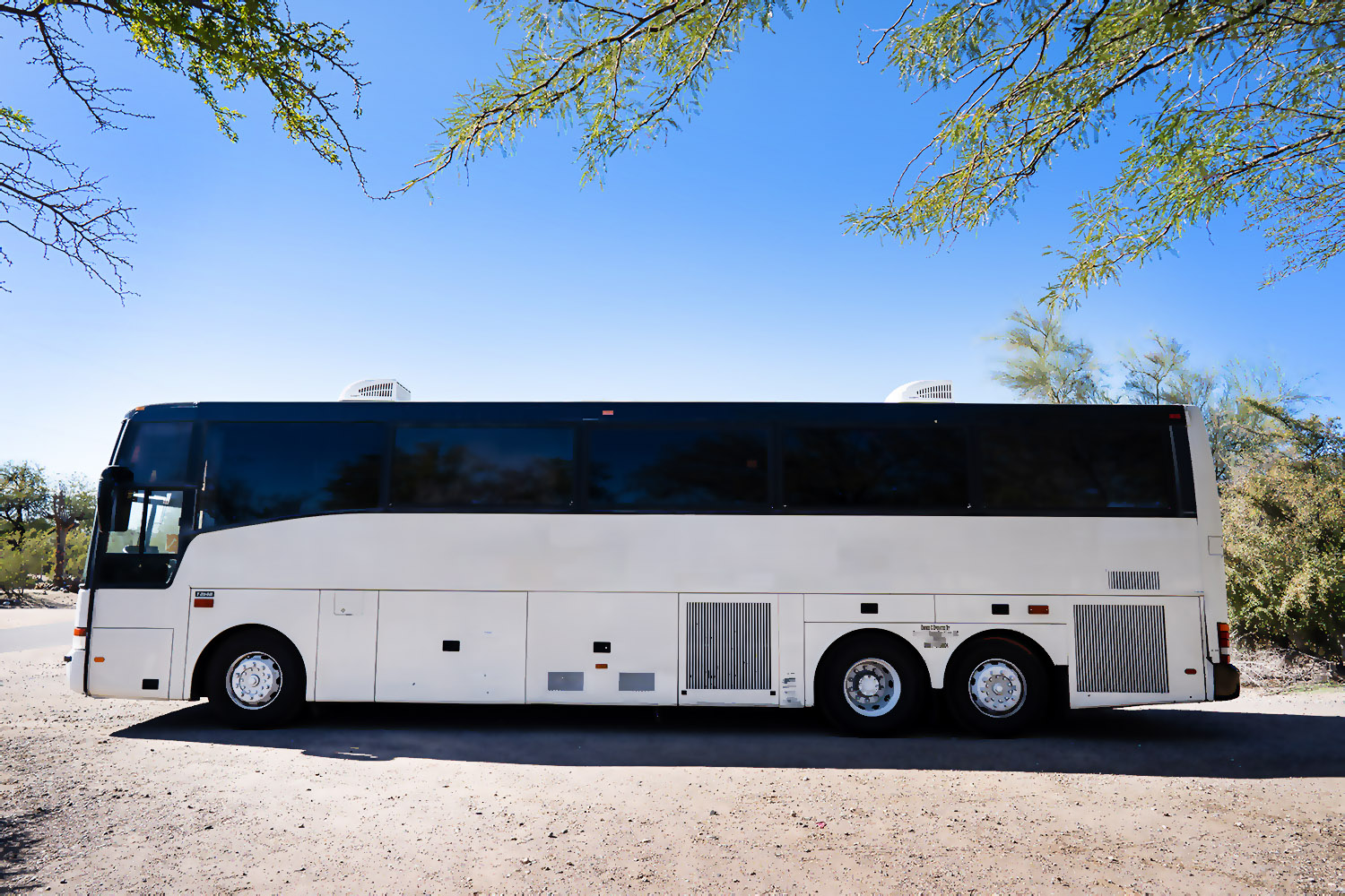 Large Party Bus for Wedding Transportation