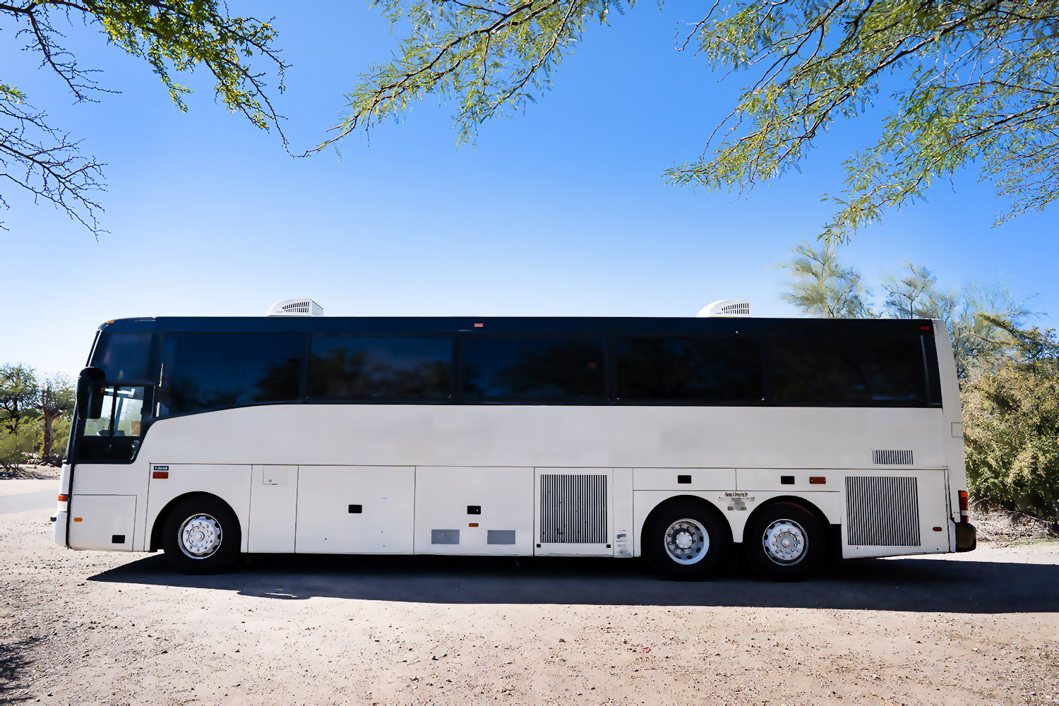 Wedding Transportation Party Bus Large Party Bus for Wedding Transportation